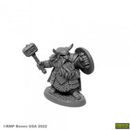 Borin Ironbrow, Dwarf Fighter (07011)