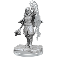 Half-Elf Warlock She/Her - D&D Nolzur’s Minis