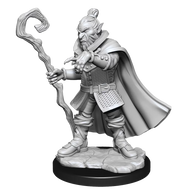 Hobgoblin Wizard and Druid He/Him  - Critical Role Minis