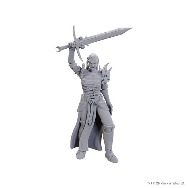 Blackguard - D&D Nolzur's Minis