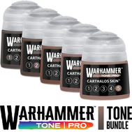 Tone Pro Preorder Bundle: Carthalos Skin