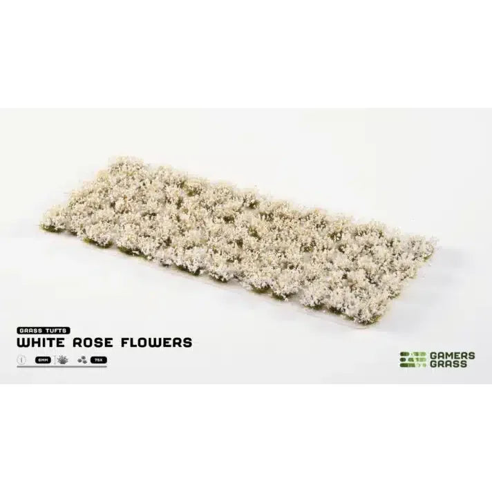 Flowers: White Rose Flowers (Wild)