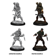 Bandits - WizKids Deep Cuts