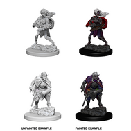 Drow - D&D Nolzur’s Minis