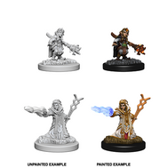 Gnome Wizard She/Her - D&D Nolzur’s Minis