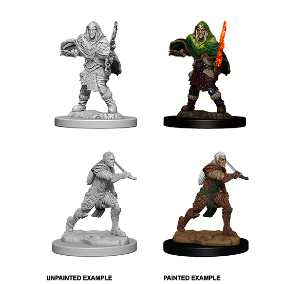 Elf Fighter He/Him - D&D Nolzur’s Minis