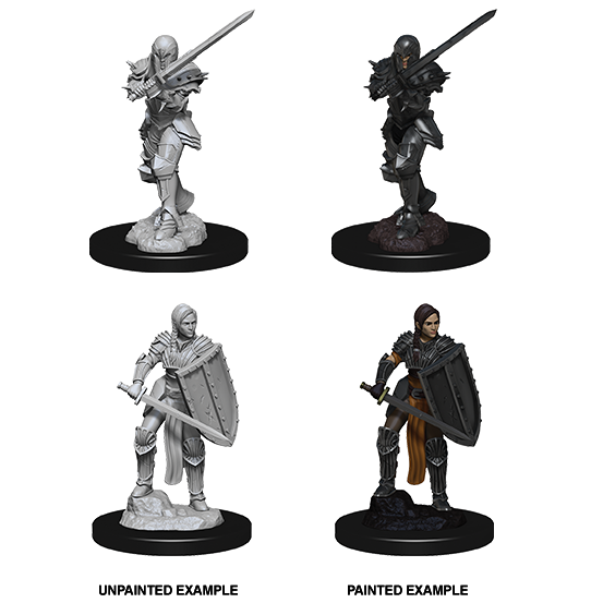 Human Fighter She/Her - D&D Nolzur’s Minis