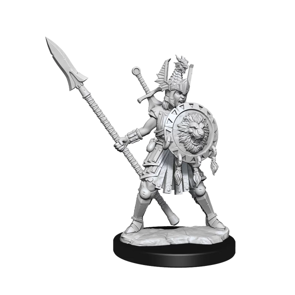 Human Fighter She/Her - D&D Frameworks