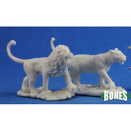 Lions (2) (77341)