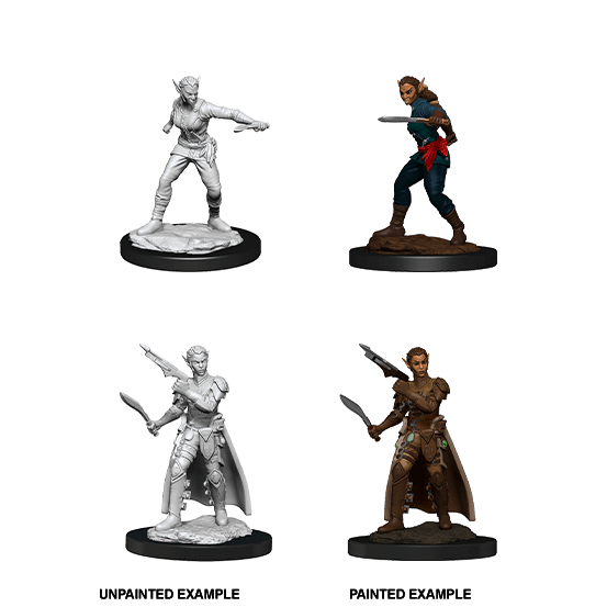 Shifter Rogue She/Her - D&D Nolzur’s Minis