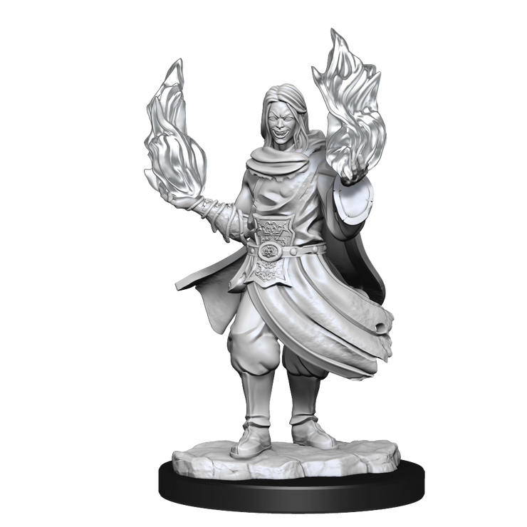 Hollow One Rogue & Sorcerer He/Him  - Critical Role Minis