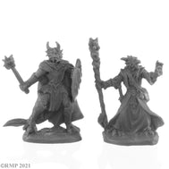Dragonfolk Wizard and Cleric (44144)