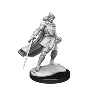 Half-Elf Xhorhas Paladin She/Her  - Critical Role Minis